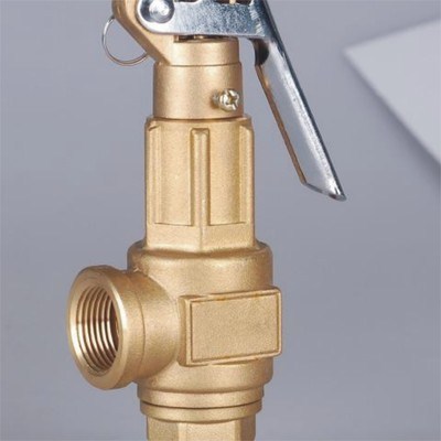 Bronze Safety Valve